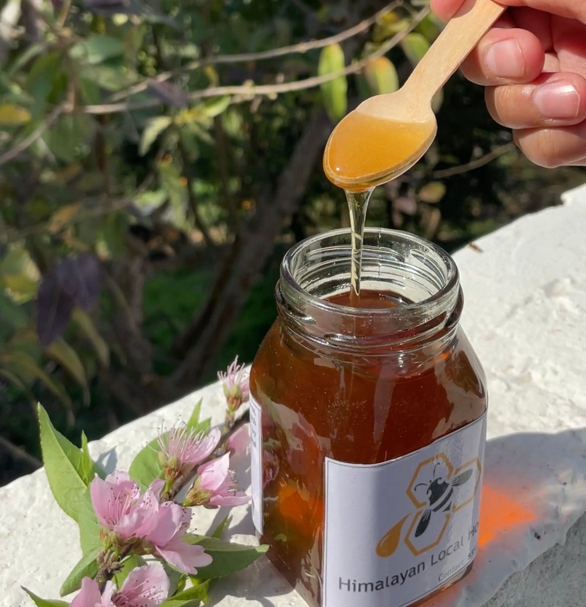 Savoring Harmony: Tirthan Valley’s Native Honey, Where Conservation Meets Sweet Success