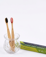 Bamboo toothbrush handcrafted by Jagriti Bamboo Craft, Una, Himachal Pradesh