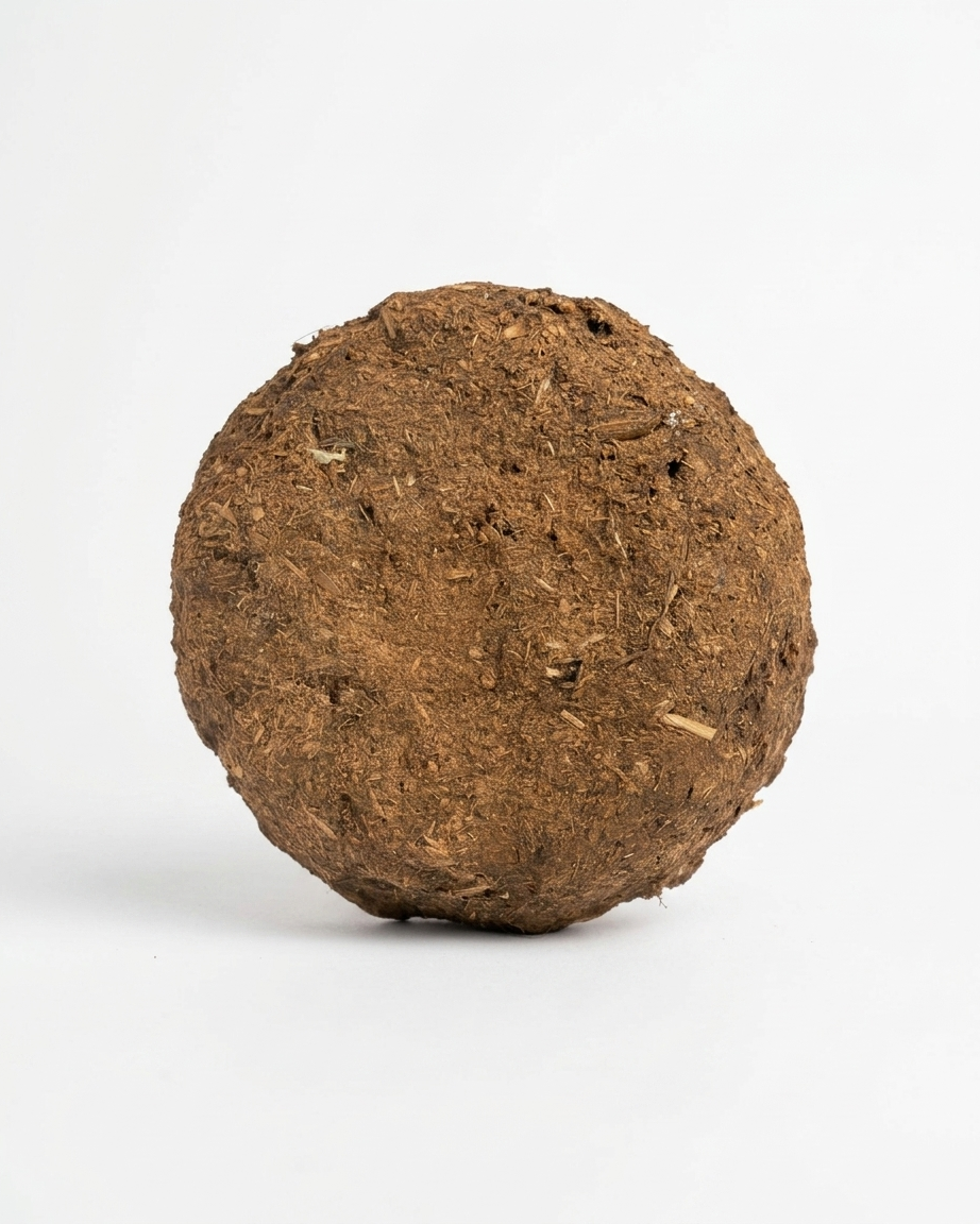 Cow Dung Cakes (Gobar k Uple)