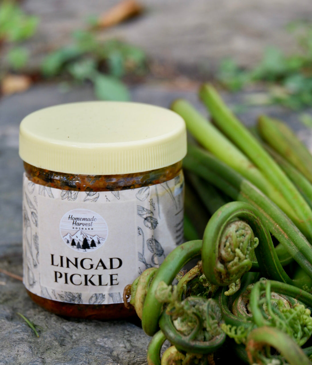 Wild Lingad Pickle (Fiddlehead Fern)