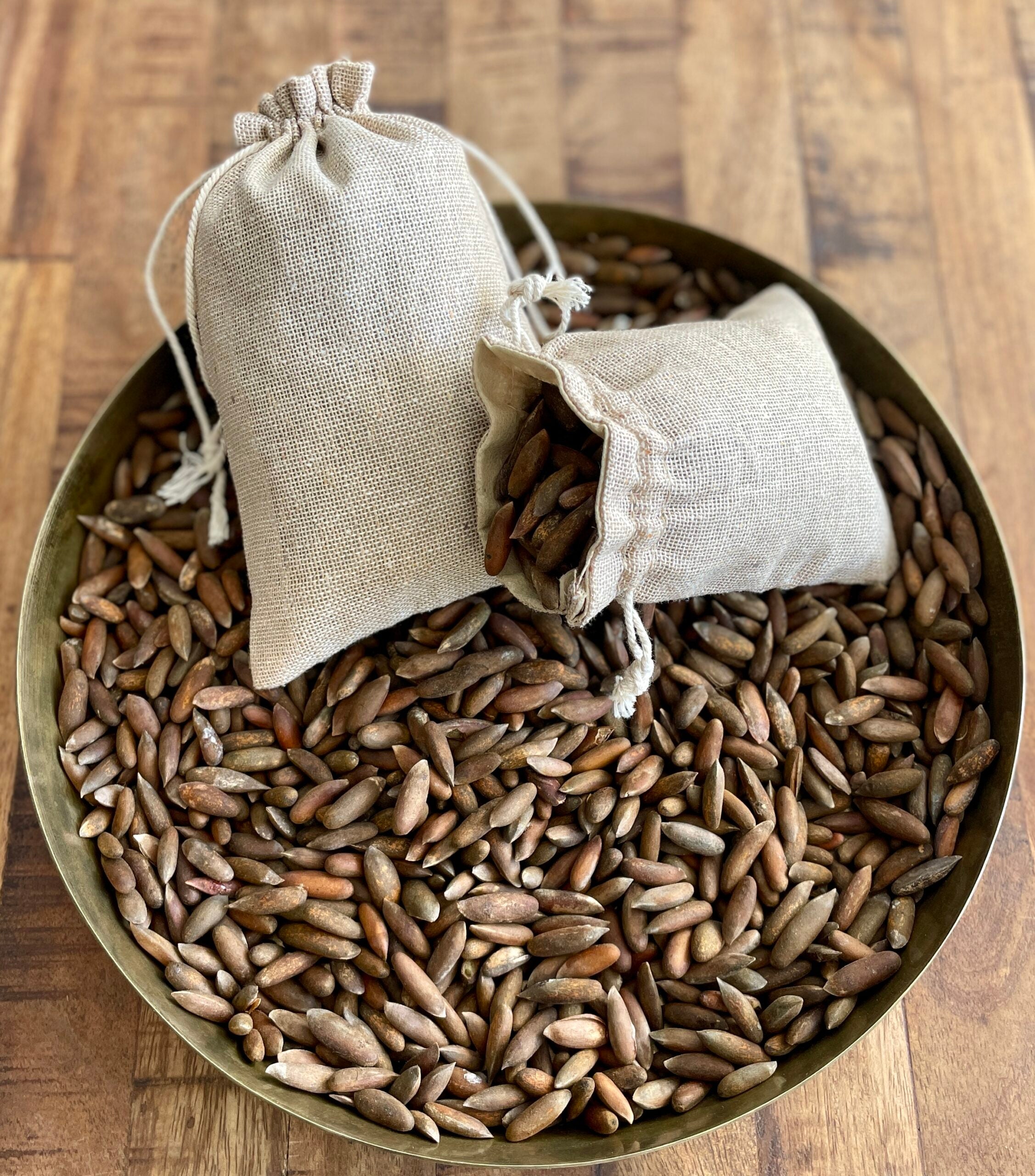 Kinnauri Chilgoza Pine Nuts (Nyoza) – Rare Wild-Harvested Himalayan Delicacy