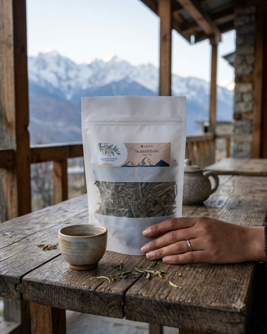 Caffeine-free sea buckthorn leaf herbal drink – hand-gathered by Palden Lamo, Lahaul