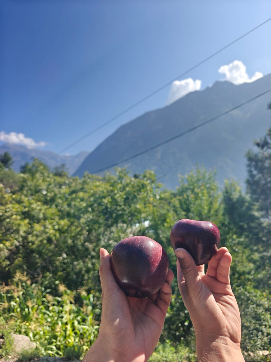 9,000+ ft