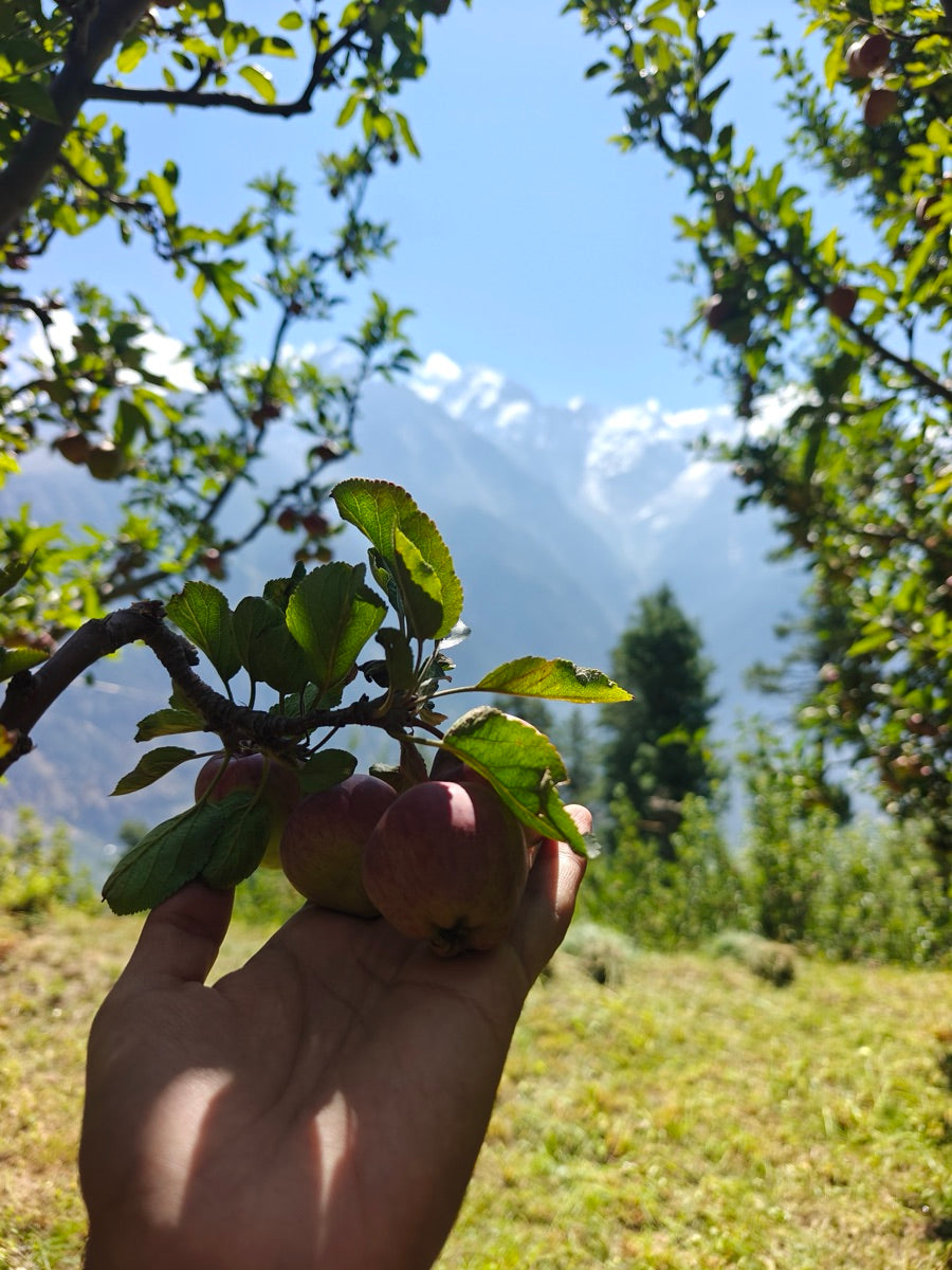 Hand-picked